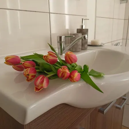 Apartman Waldruh S Terasou *
