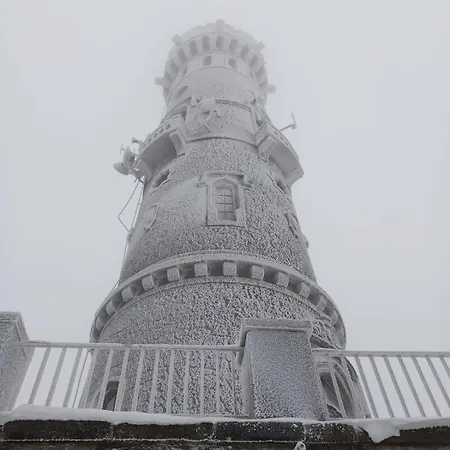 Waldruh S Terasou Jalŭvčí