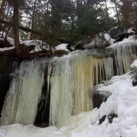 Waldruh S Terasou * Jalŭvčí