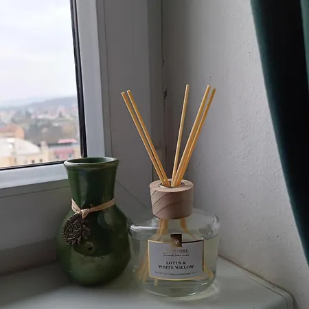 Apartman Waldruh S Terasou *